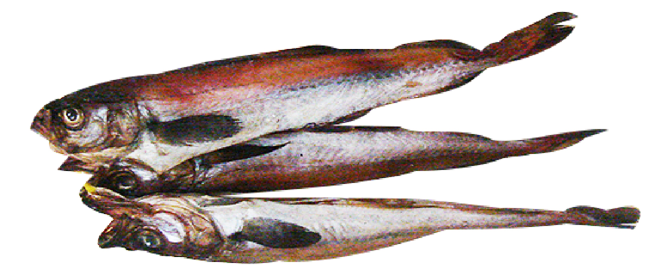 Hannam Mart Product Thumbnail