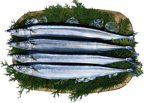 Hannam Mart Product Thumbnail