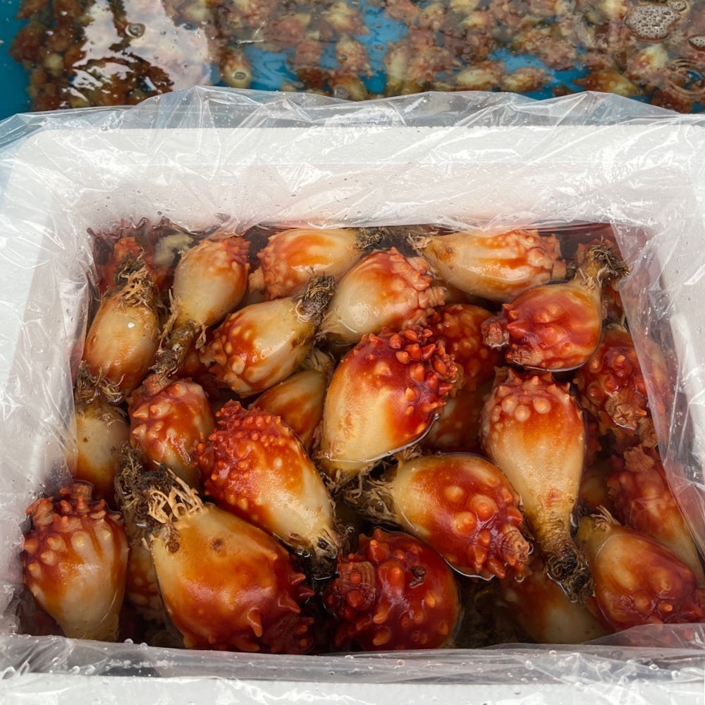 Hannam Mart Product Thumbnail