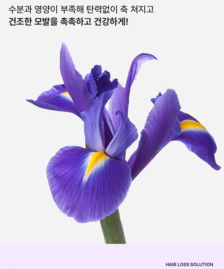 Hannam Mart Product Thumbnail