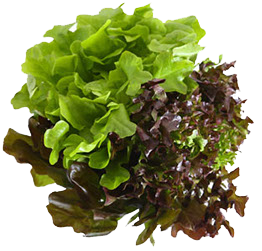 Hannam Mart Product Thumbnail