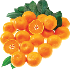 Hannam Mart Product Thumbnail