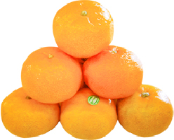 Hannam Mart Product Thumbnail