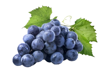 Hannam Mart Product Thumbnail