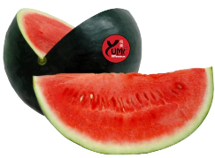 Hannam Mart Product Thumbnail