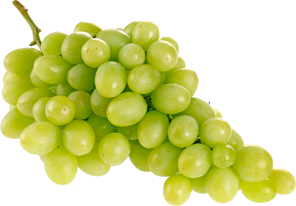 Hannam Mart Product Thumbnail