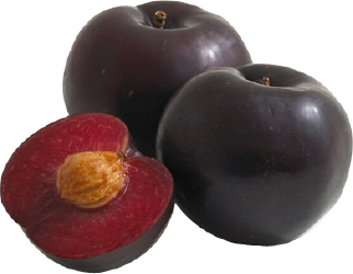 Hannam Mart Product Thumbnail