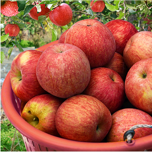 Hannam Mart Product Thumbnail