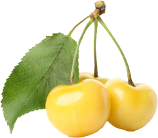 Hannam Mart Product Thumbnail