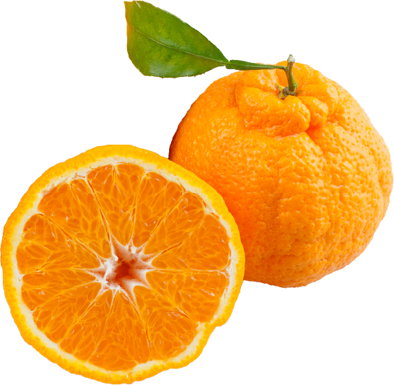 Hannam Mart Product Thumbnail