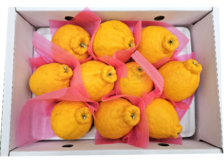 Hannam Mart Product Thumbnail