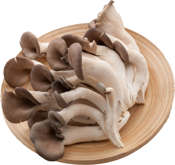 Hannam Mart Product Thumbnail