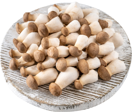 Hannam Mart Product Thumbnail