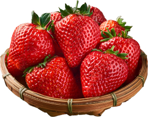 Hannam Mart Product Thumbnail