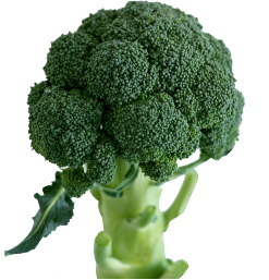 Hannam Mart Product Thumbnail