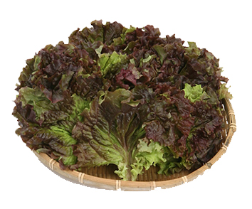 Hannam Mart Product Thumbnail