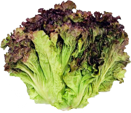 Hannam Mart Product Thumbnail