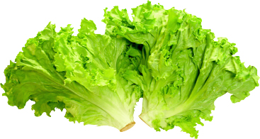 Hannam Mart Product Thumbnail