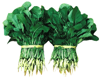 Hannam Mart Product Thumbnail