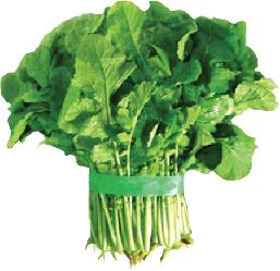 Hannam Mart Product Thumbnail