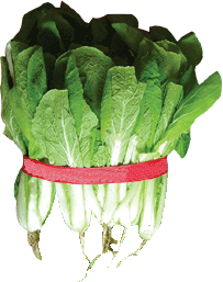 Hannam Mart Product Thumbnail