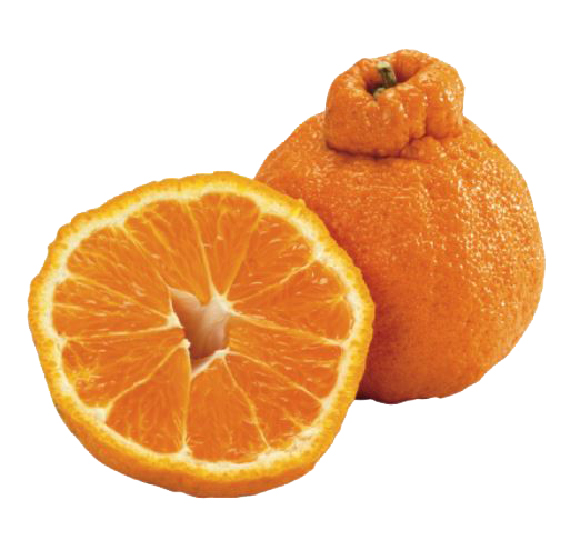 Hannam Mart Product Thumbnail