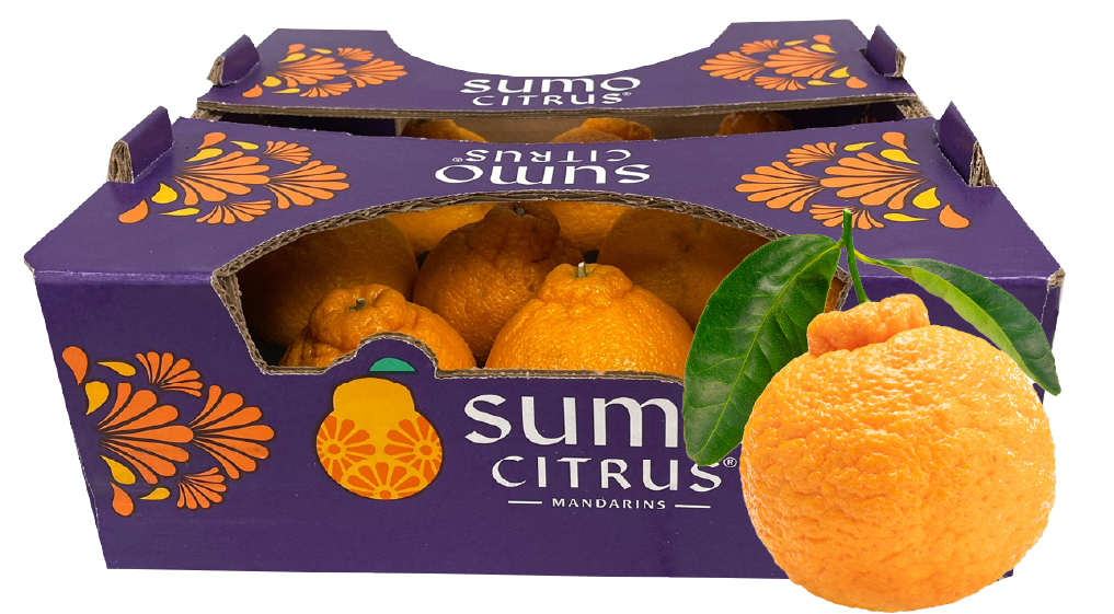 Hannam Mart Product Thumbnail