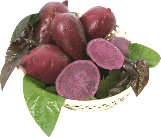 Hannam Mart Product Thumbnail