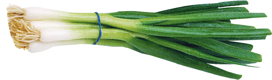 Hannam Mart Product Thumbnail