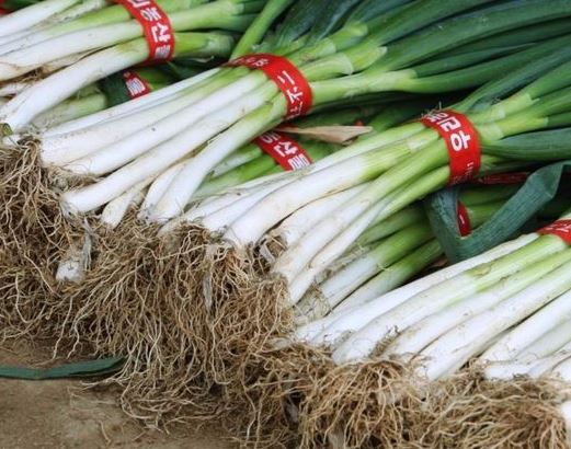 Hannam Mart Product Thumbnail