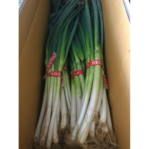 Hannam Mart Product Thumbnail