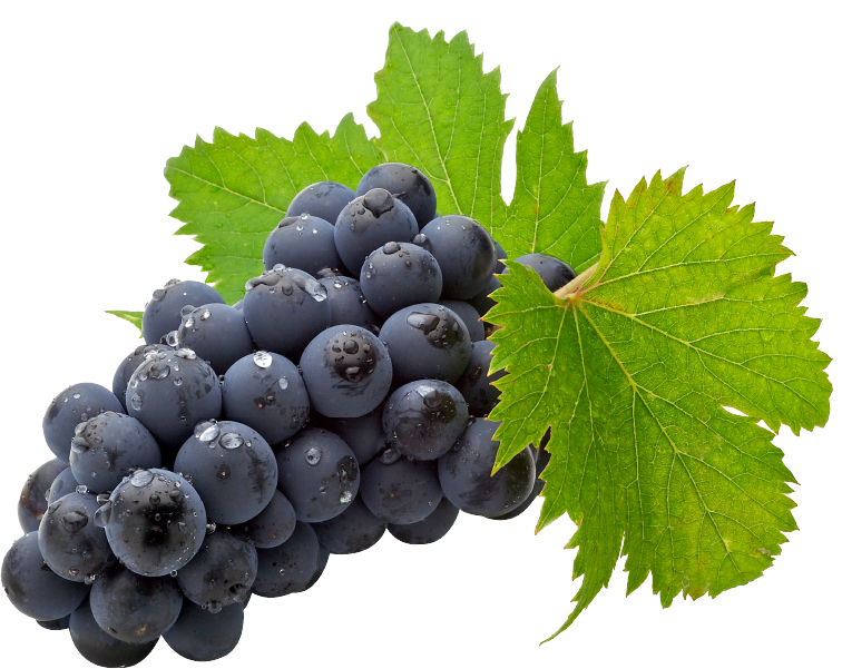 Hannam Mart Product Thumbnail