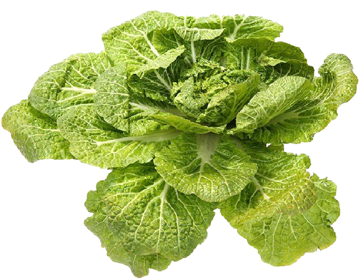 Hannam Mart Product Thumbnail