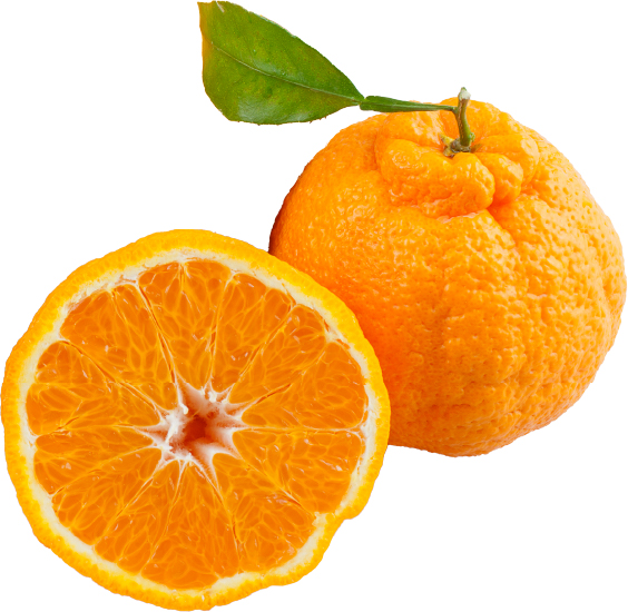 Hannam Mart Product Thumbnail