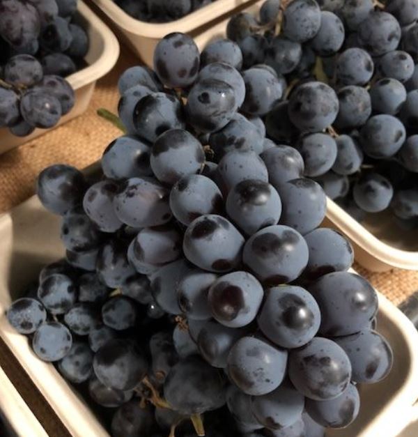 Hannam Mart Product Thumbnail